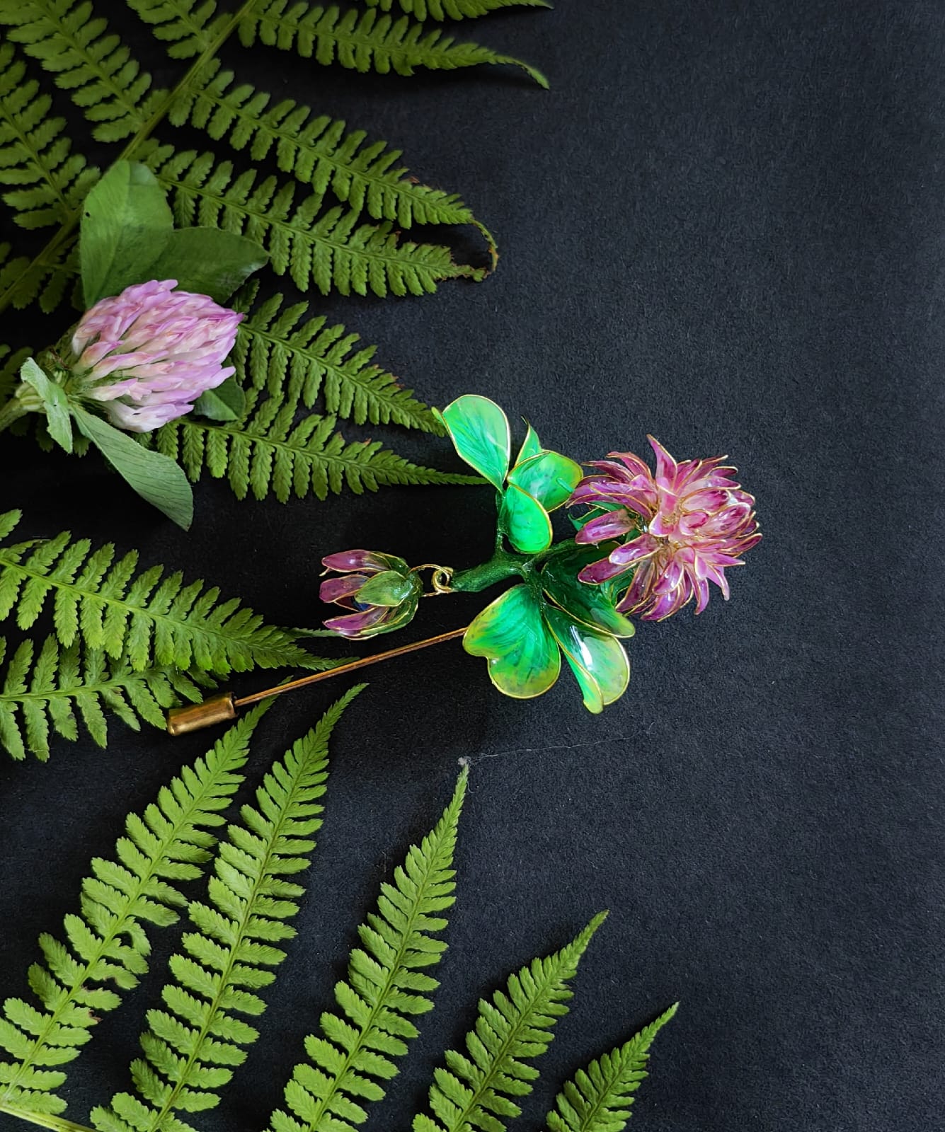 Дикий клевер